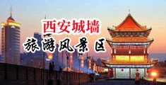 一级黄色日骚中国陕西-西安城墙旅游风景区